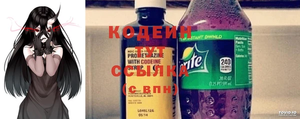 хмурый Лиски