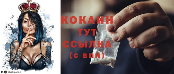 PSILOCYBIN Липки