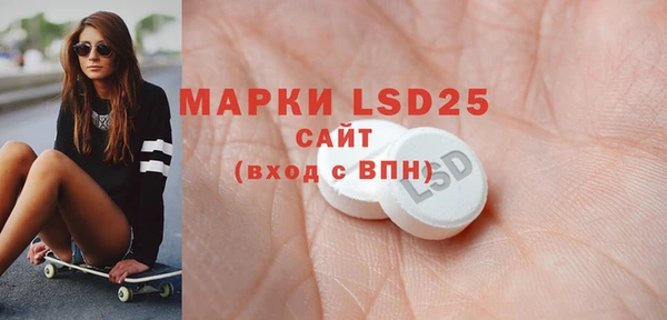 PSILOCYBIN Липки
