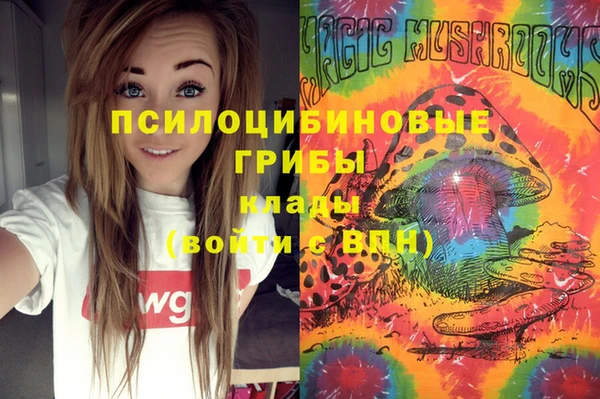 герыч Магас