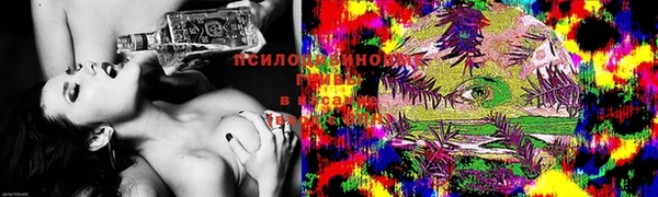 герыч Магас