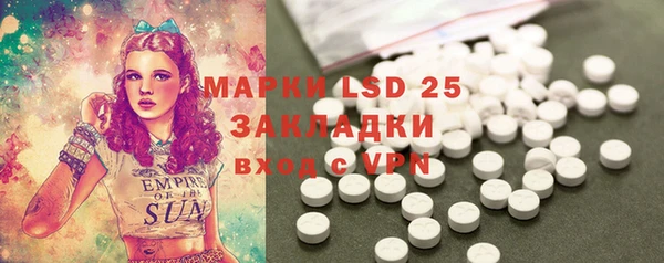 PSILOCYBIN Липки