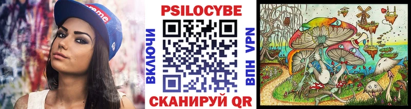 Галлюциногенные грибы GOLDEN TEACHER где найти Стародуб