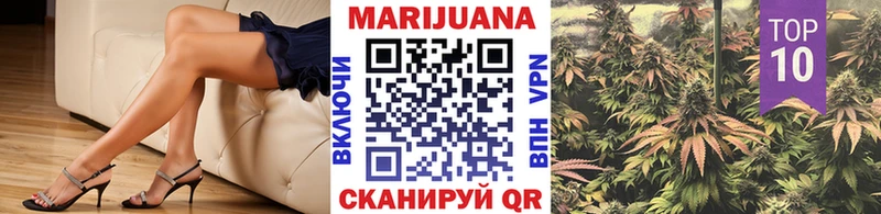 где можно купить наркотик  Стародуб  Конопля White Widow 